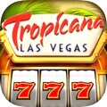 Play over 600 casino games!