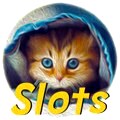 A catalogue of over 500 exciting casino games