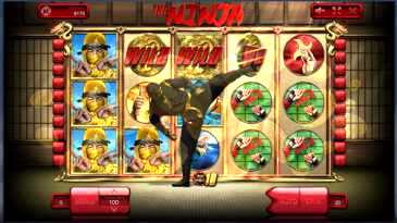 Ninja Slots Machine