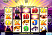 Buffalo Slots Play Online