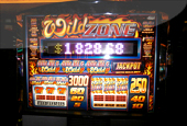 Double Jackpot Slots