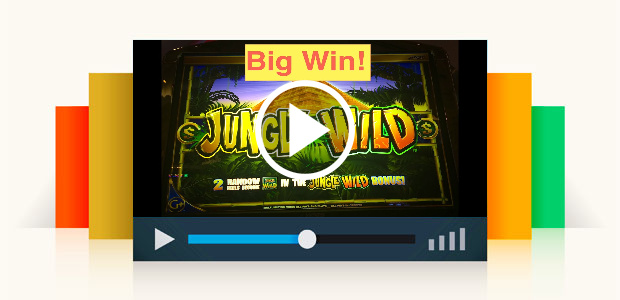 Jungle Wild Slot Machine Bonus Big Win!